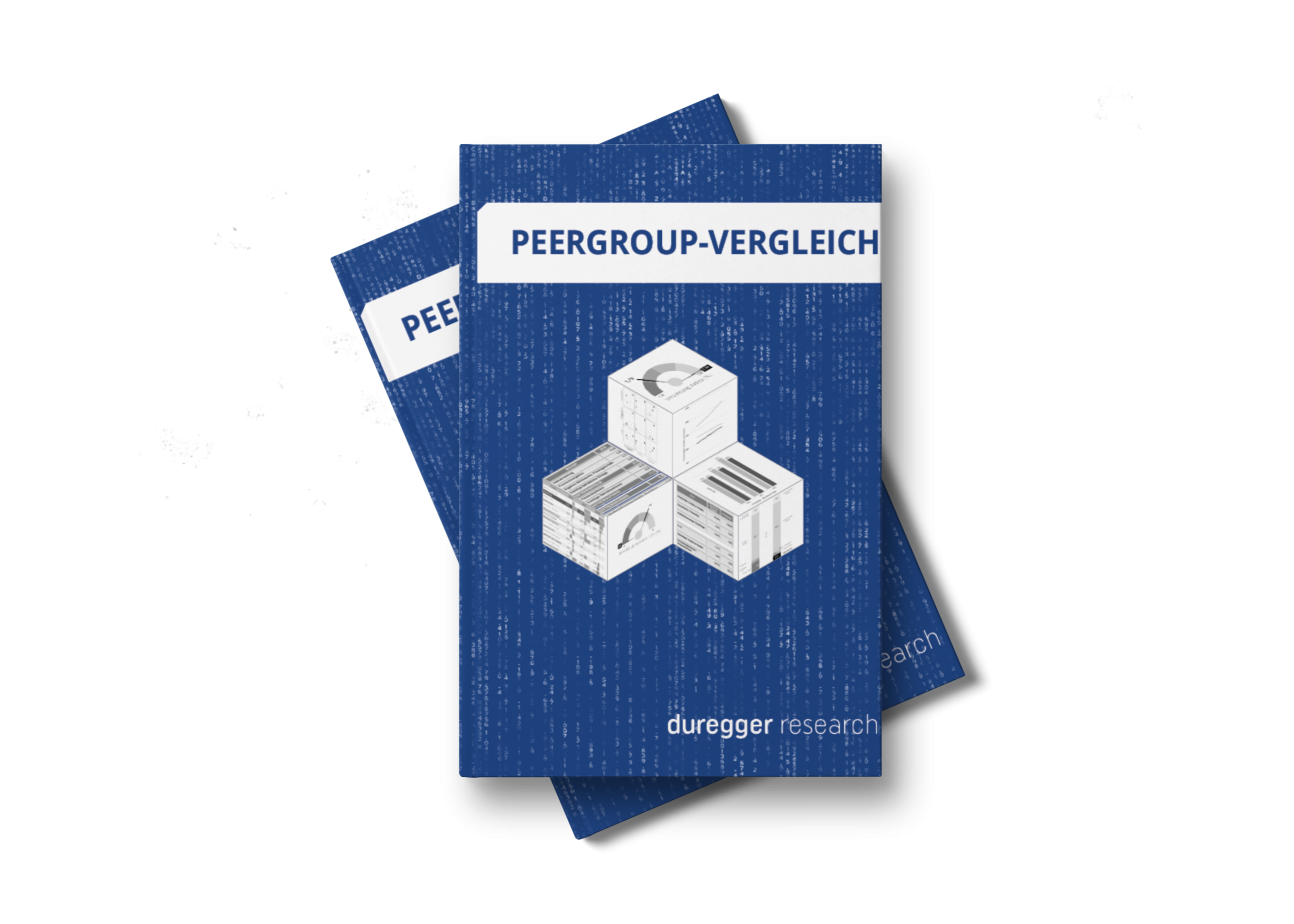 Peergroup-Vergleich-2-Bucher.png